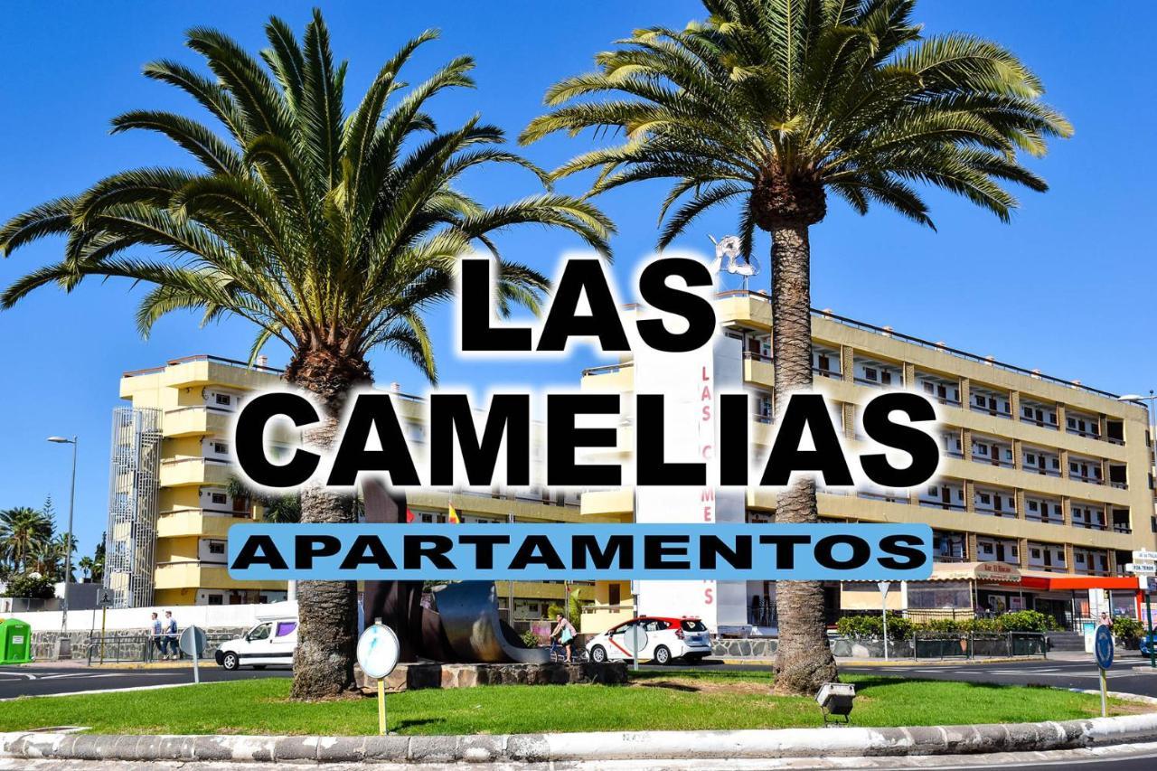 Las Camelias Apartments ปลายา เดล อิงเกลส ภายนอก รูปภาพ