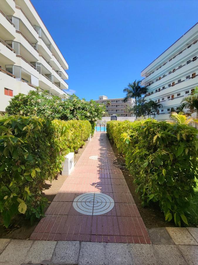 Las Camelias Apartments ปลายา เดล อิงเกลส ภายนอก รูปภาพ