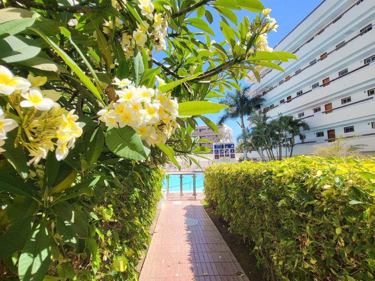 Las Camelias Apartments ปลายา เดล อิงเกลส ภายนอก รูปภาพ